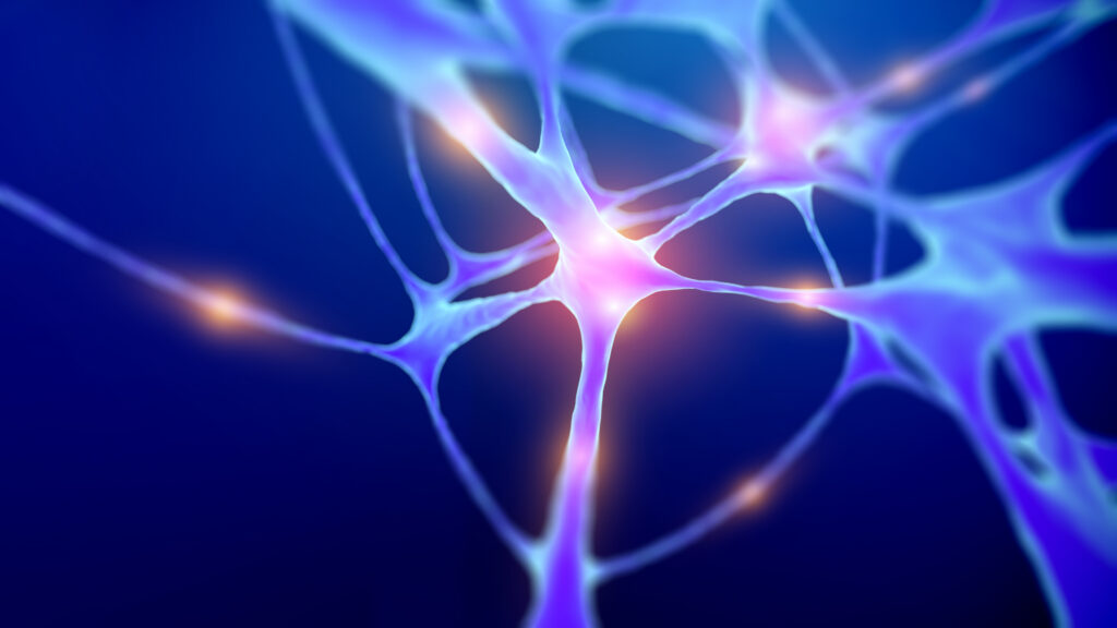 neuropsychologist neuropsychological evaluations Plantation FL