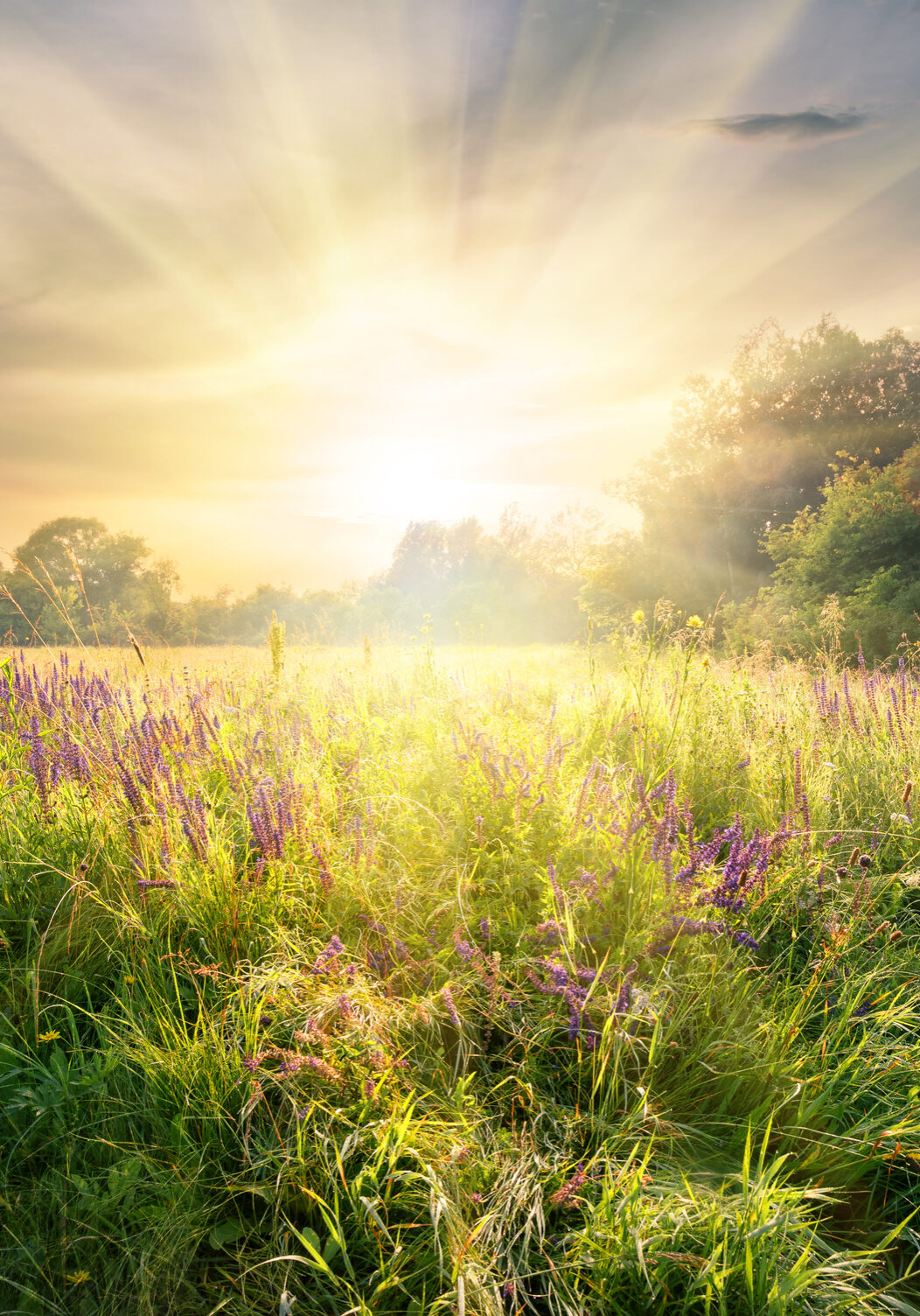 South Florida's leading expert therapist providing compassionate counseling, support, and sexual trauma therapy for survivors of abuse, serving clients across the entire state